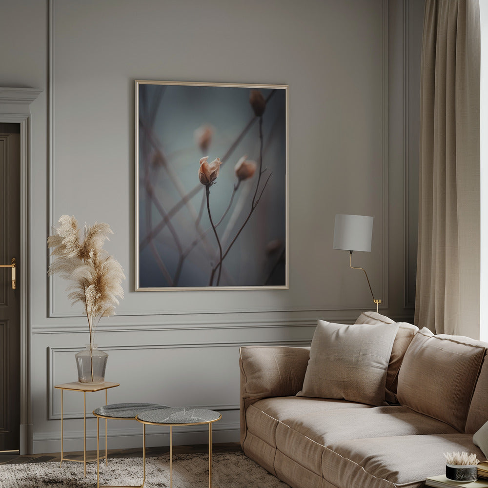 Awakening Beauty Poster